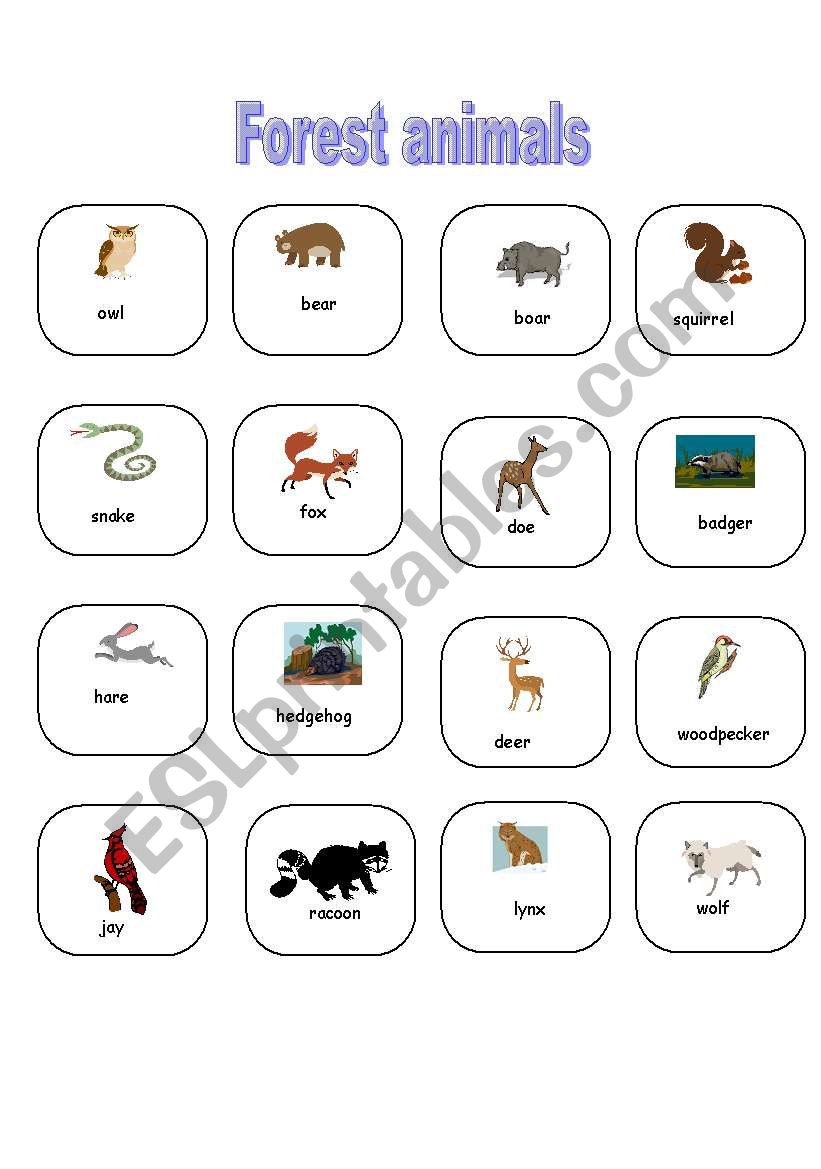 Forest animals-pictionary worksheet