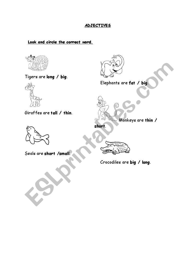 ADJECTIVES worksheet