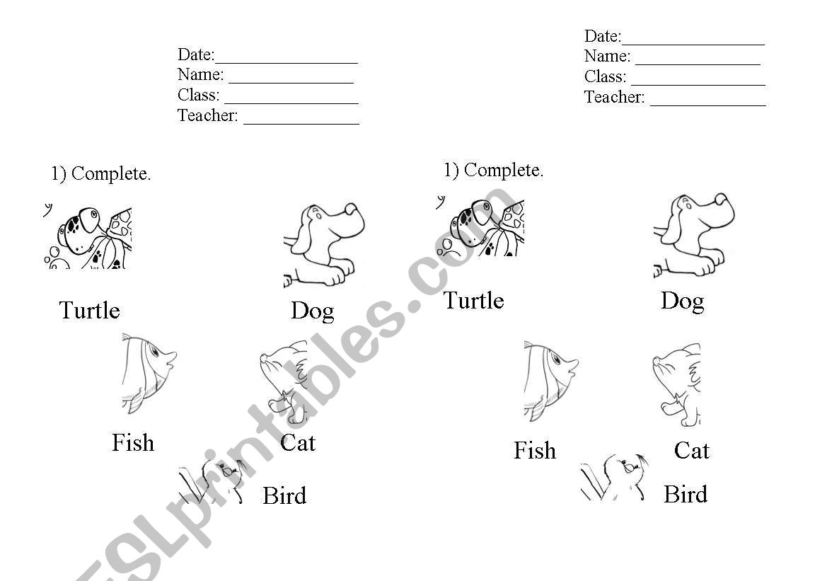 Animals worksheet