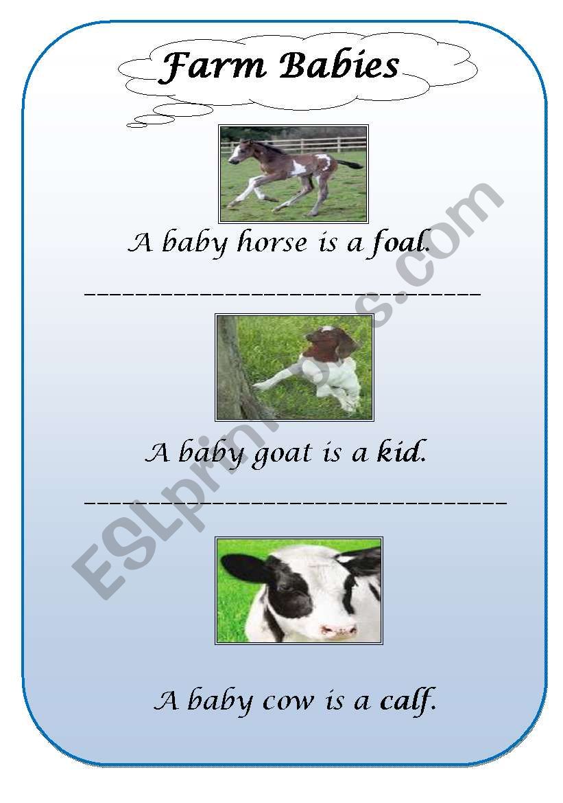 Farm Animal Babies worksheet