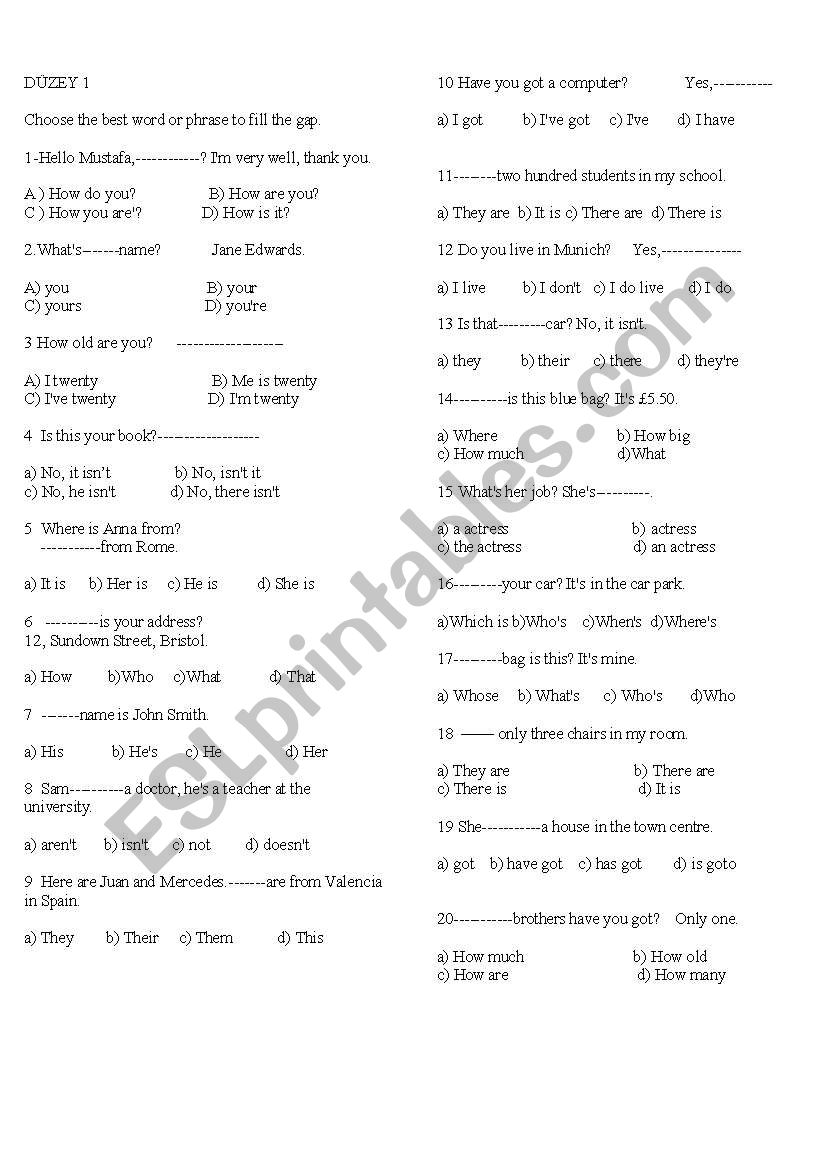 grammar-multiple-choice-esl-worksheet-by-muratenver-325