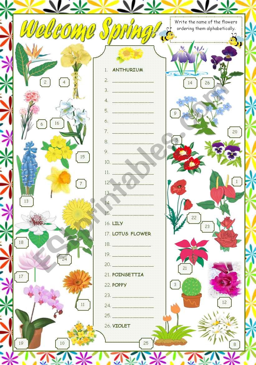 WELCOME SPRING!  worksheet