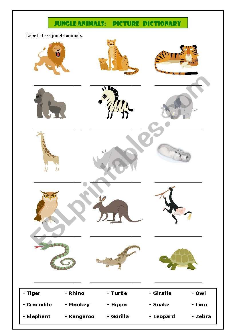 Jungle animals: picture dictionary