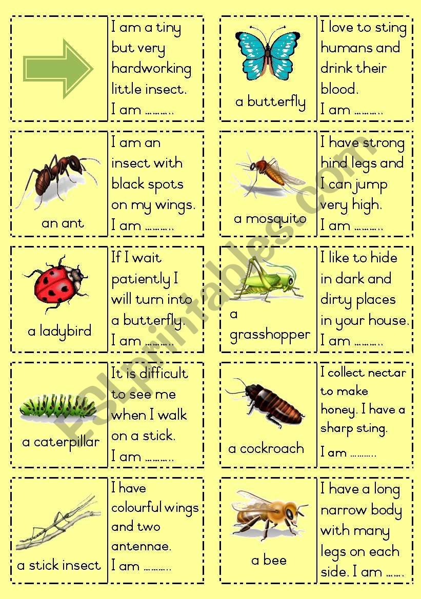 Insects Dominoes Part 1 worksheet