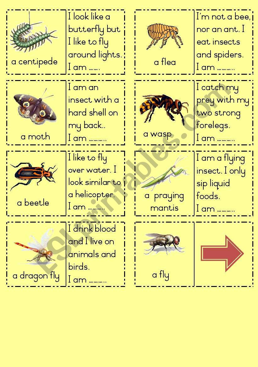 Insects Dominoes Part  2 worksheet
