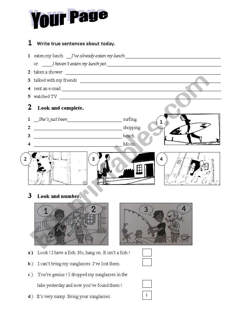 present perfect activity worksheet