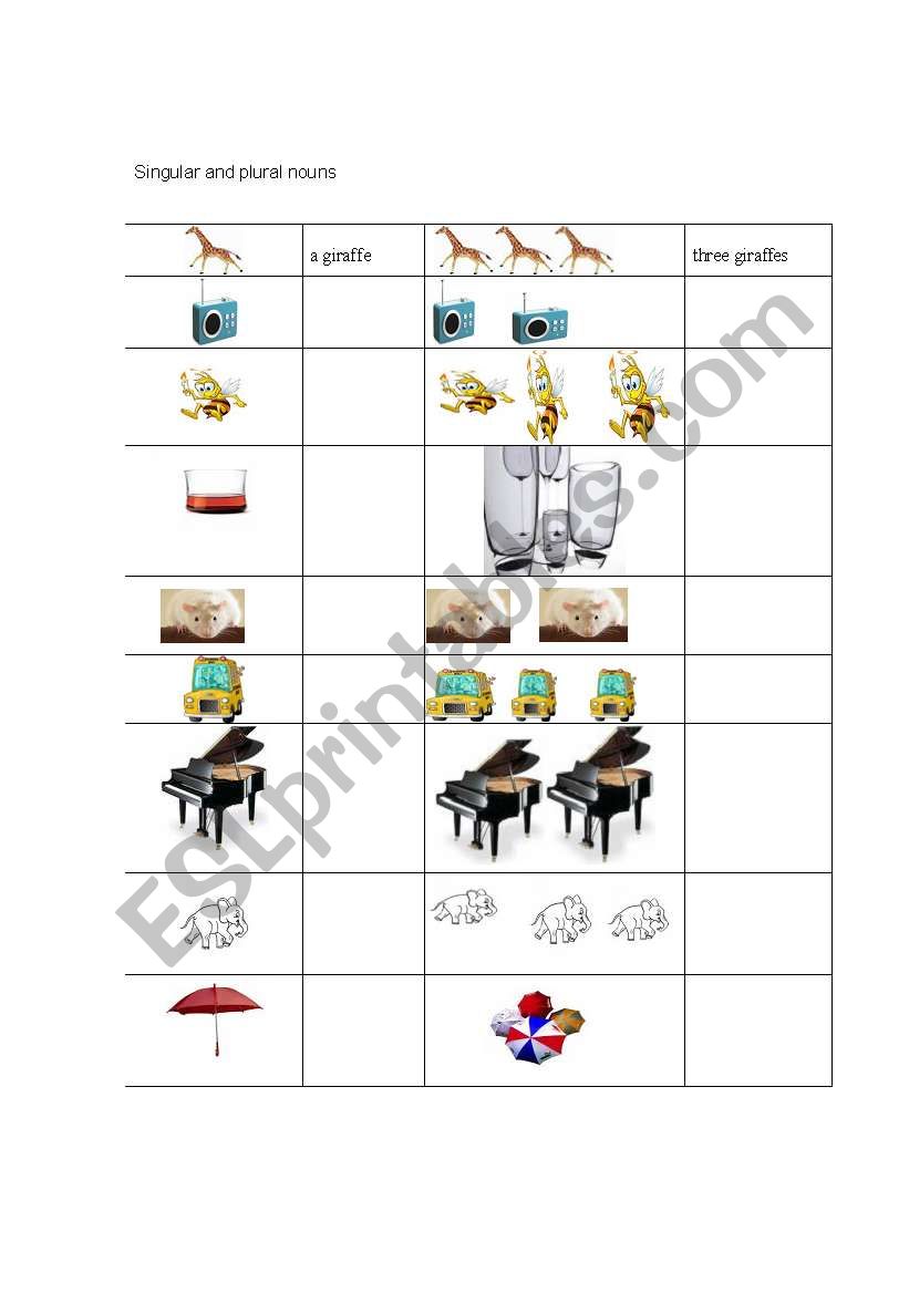 singular and plural nouns worksheet