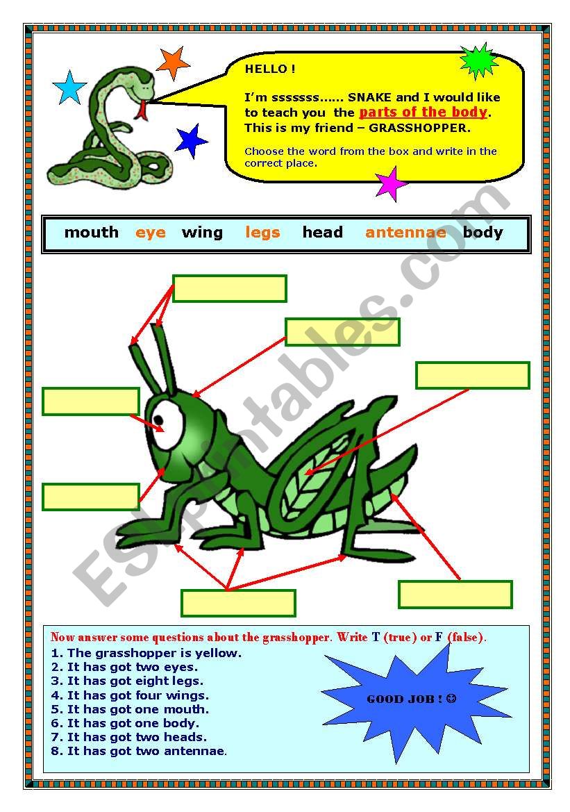 Parts of the body & has got  worksheet