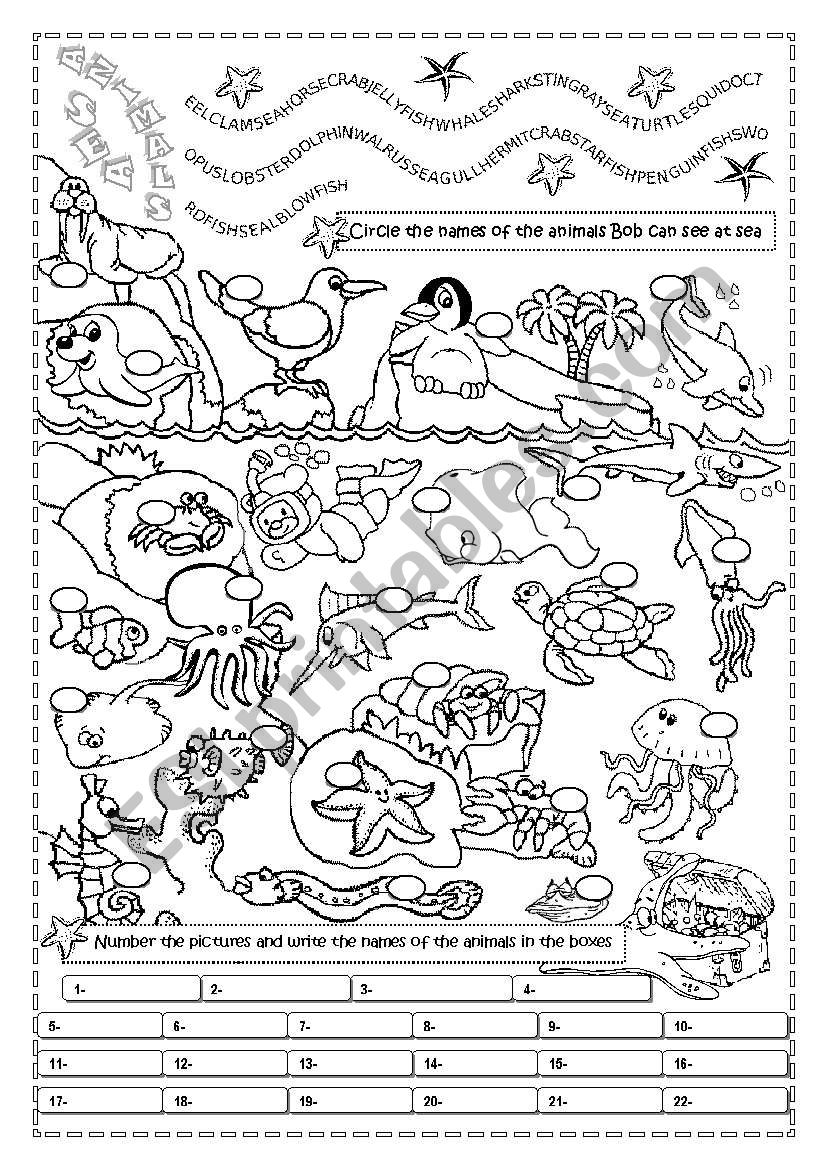 SEA  ANIMALS worksheet