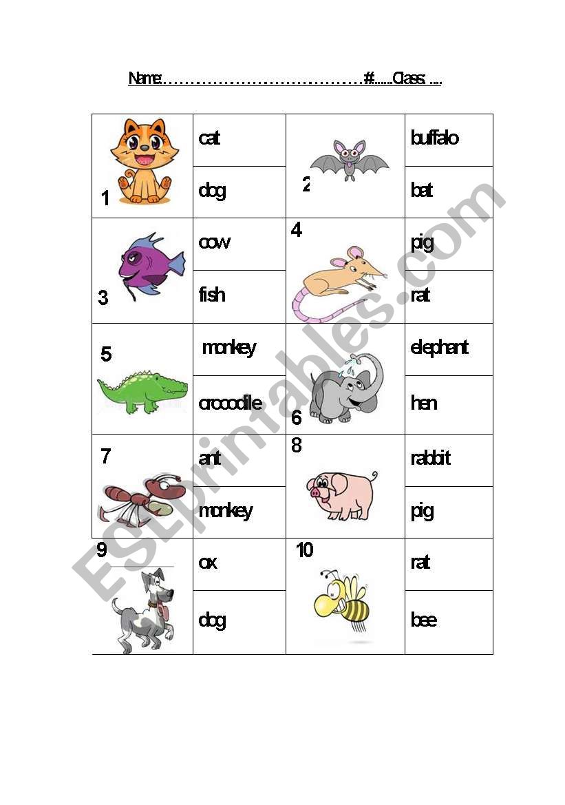 ANIMALS worksheet