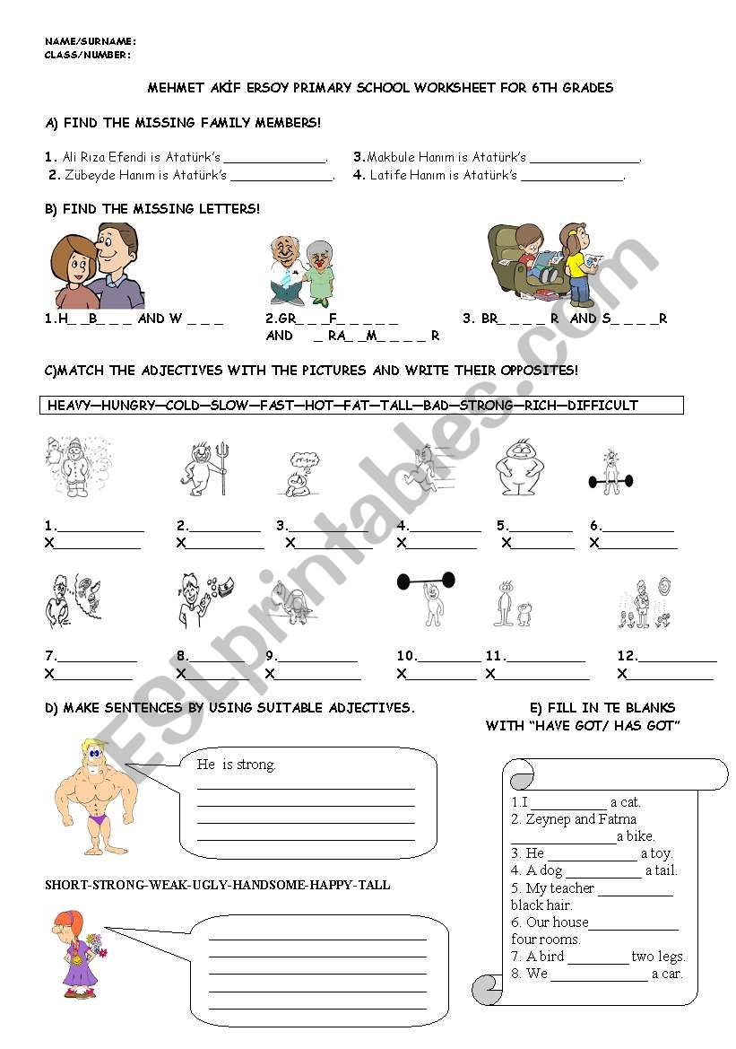 worksheet worksheet worksheet worksheet