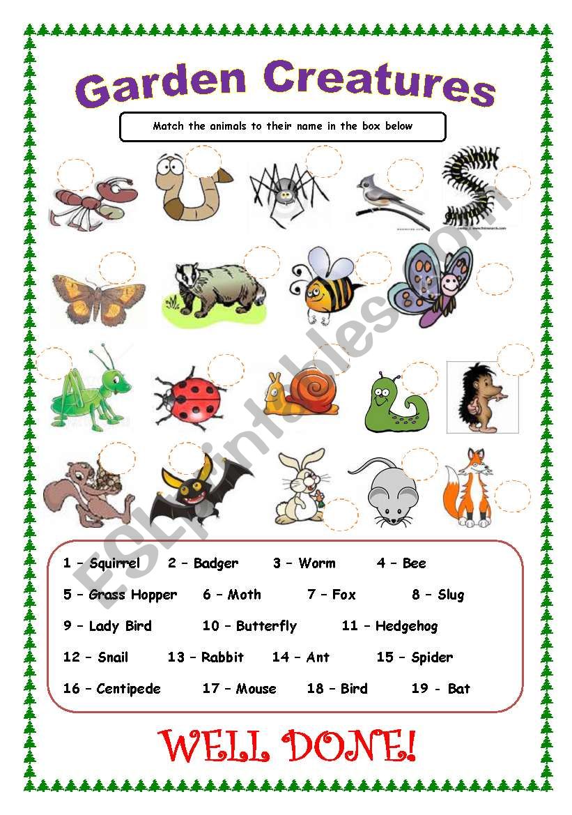 Garden Creatures worksheet