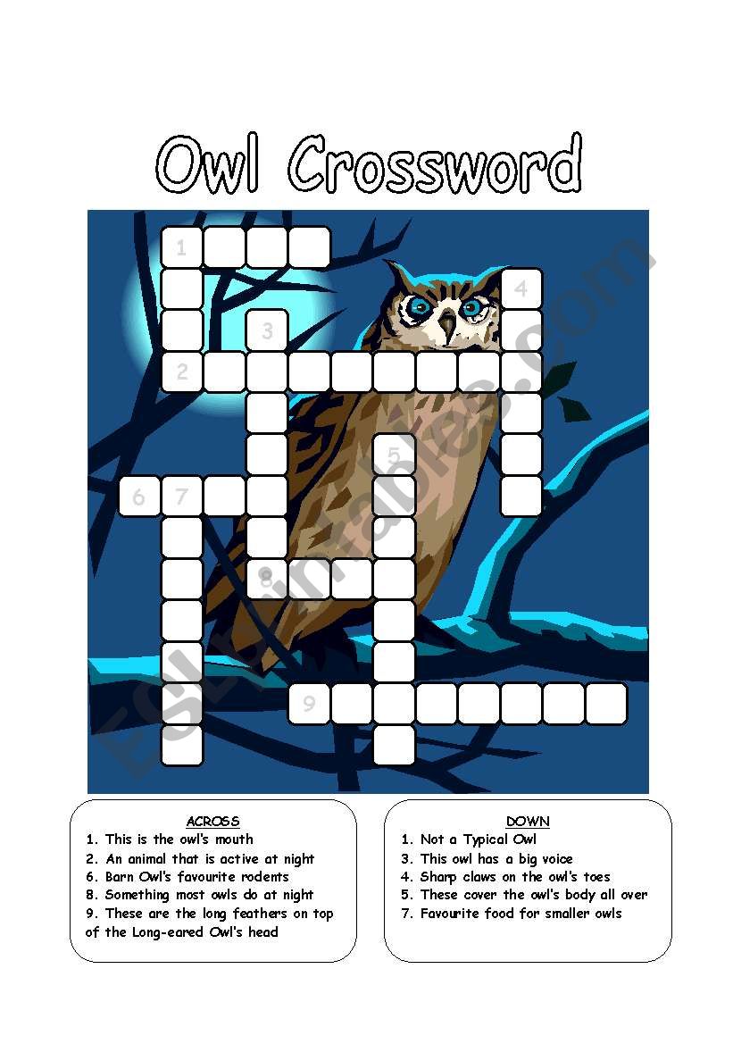 Owl Crossword worksheet