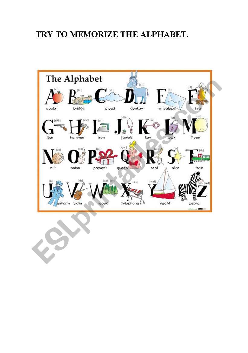 THE ALPHABET worksheet