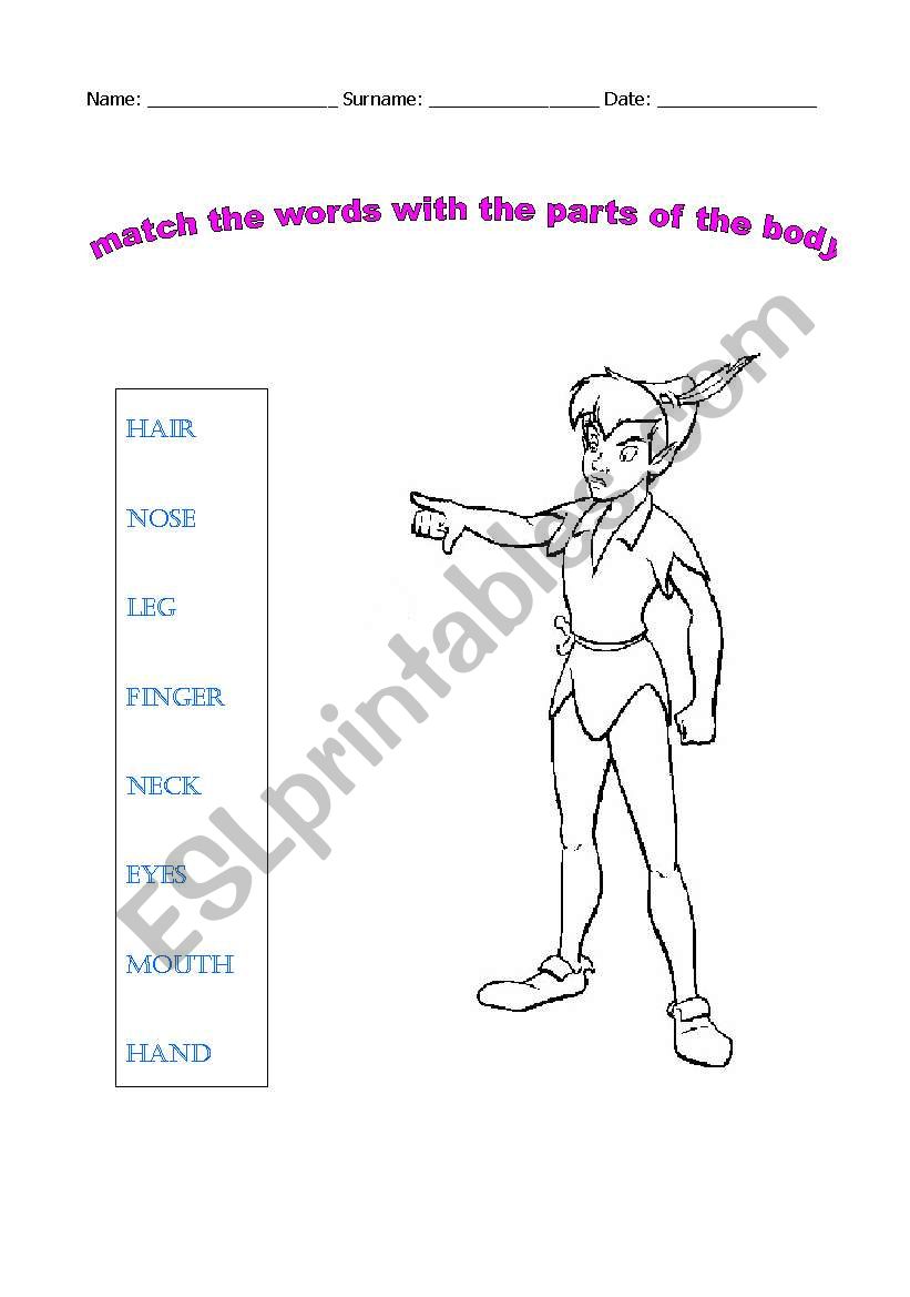 PARTS OF THE BODY worksheet