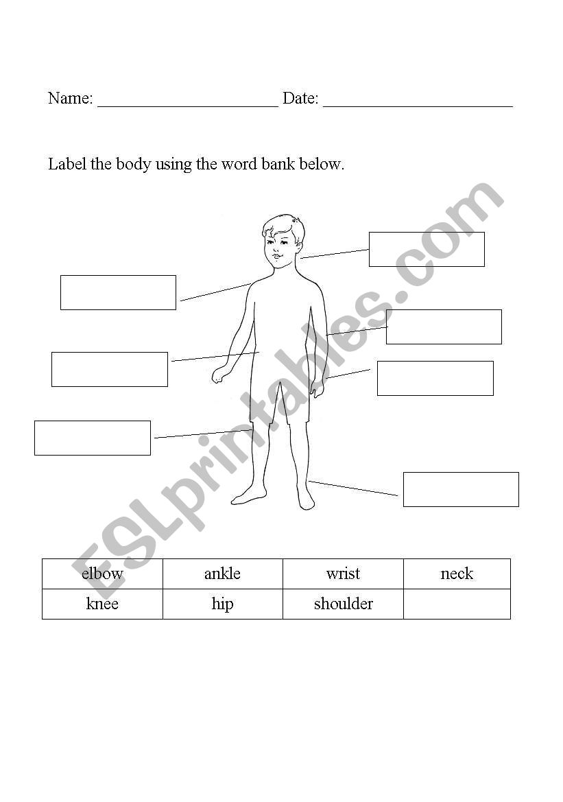 Joints worksheet