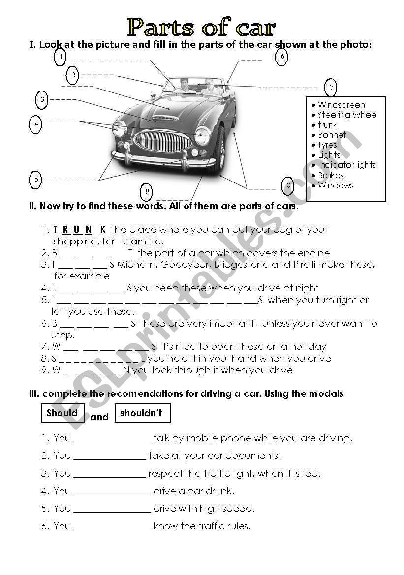 Parts of car worksheet