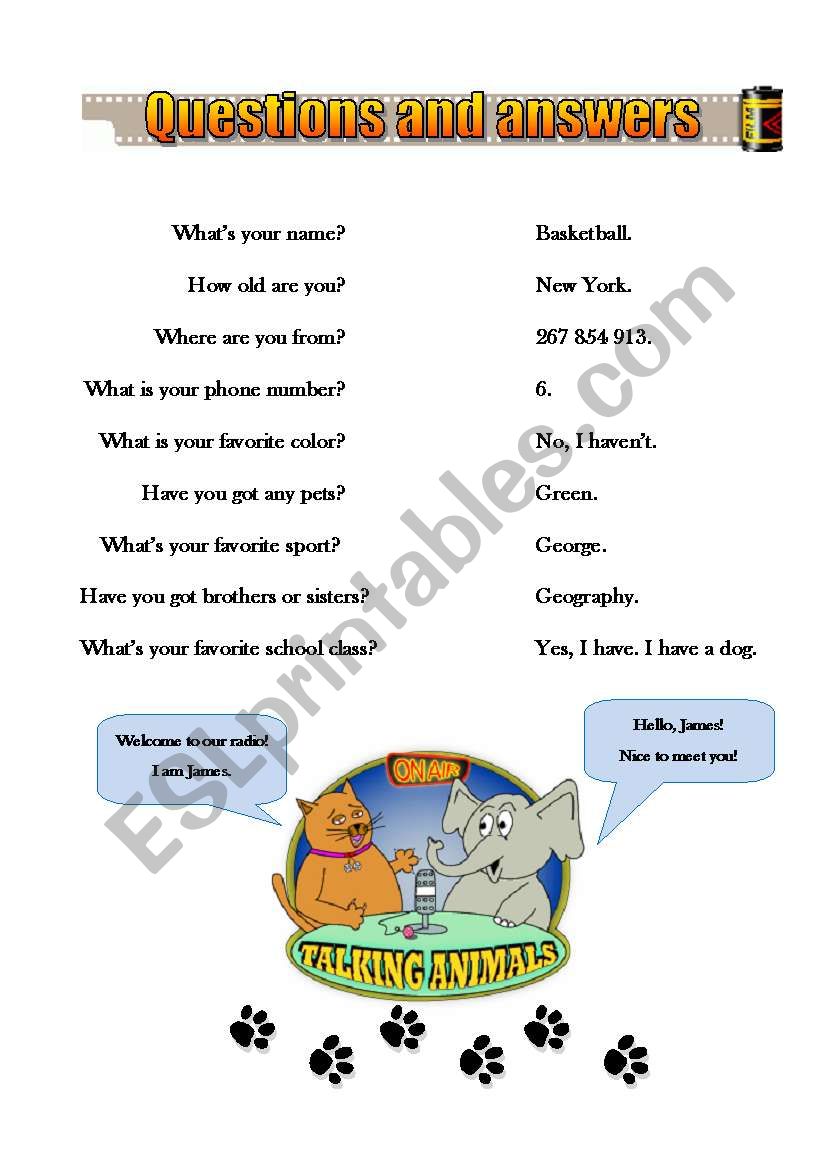 Questions and answers worksheet