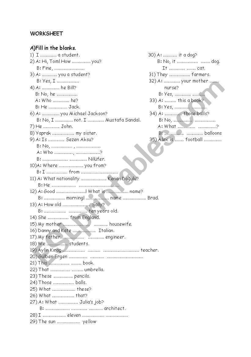 Introduction to English worksheet