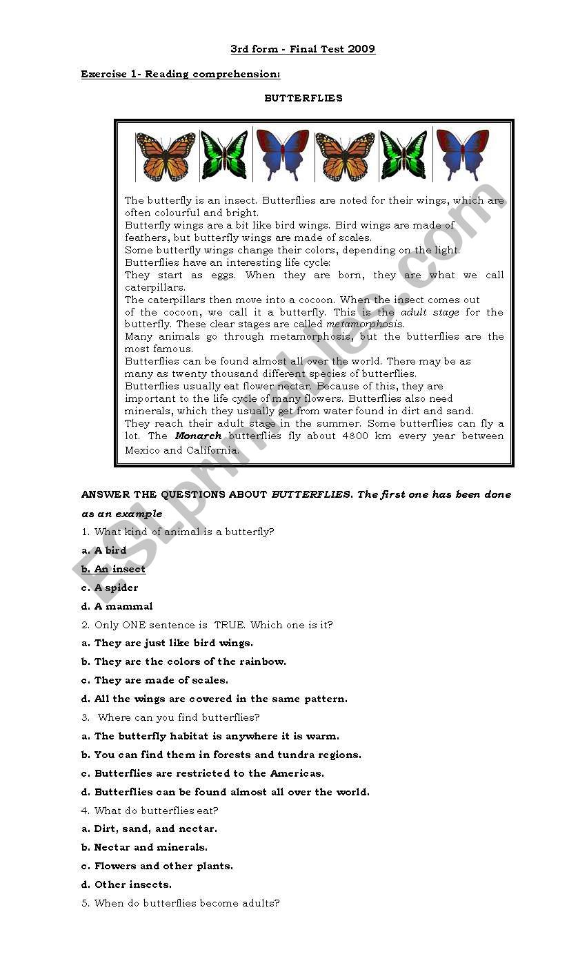 Topic-based test worksheet