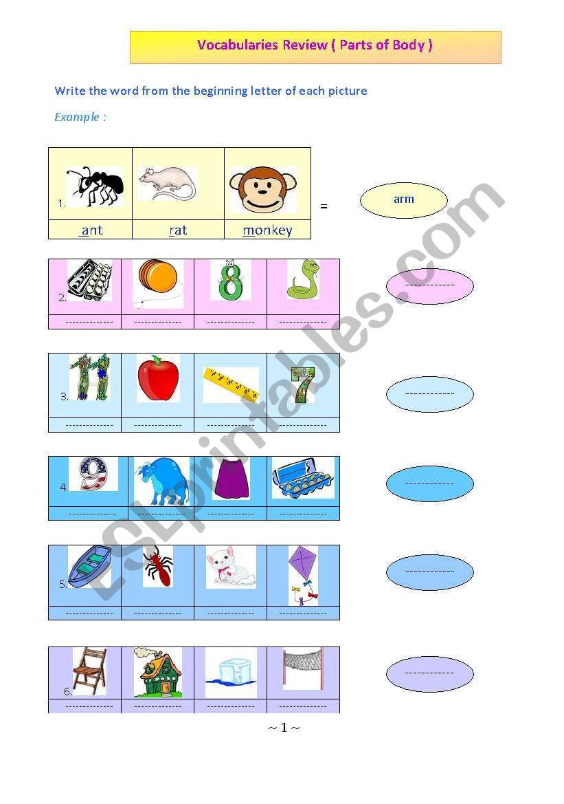 Vocabularies Review ( parts of body )