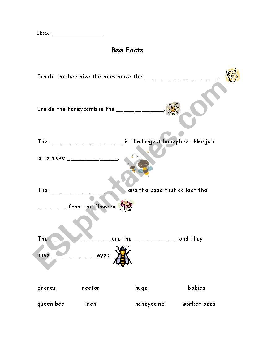 Bee Facts worksheet