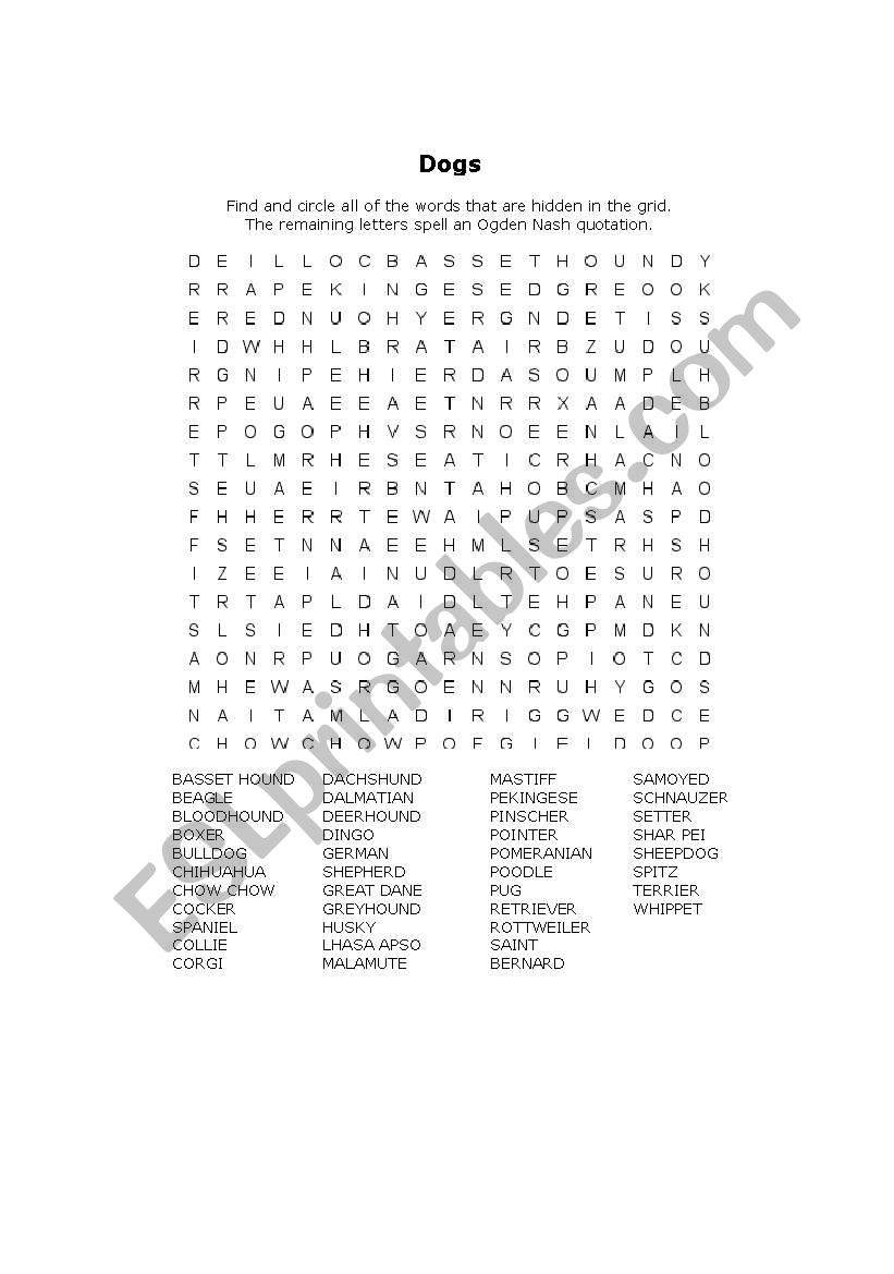 dog breeds worksheet