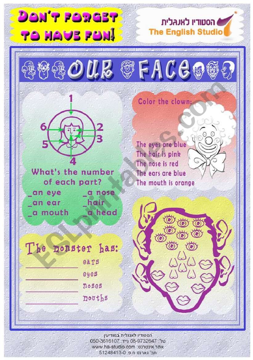 our face worksheet