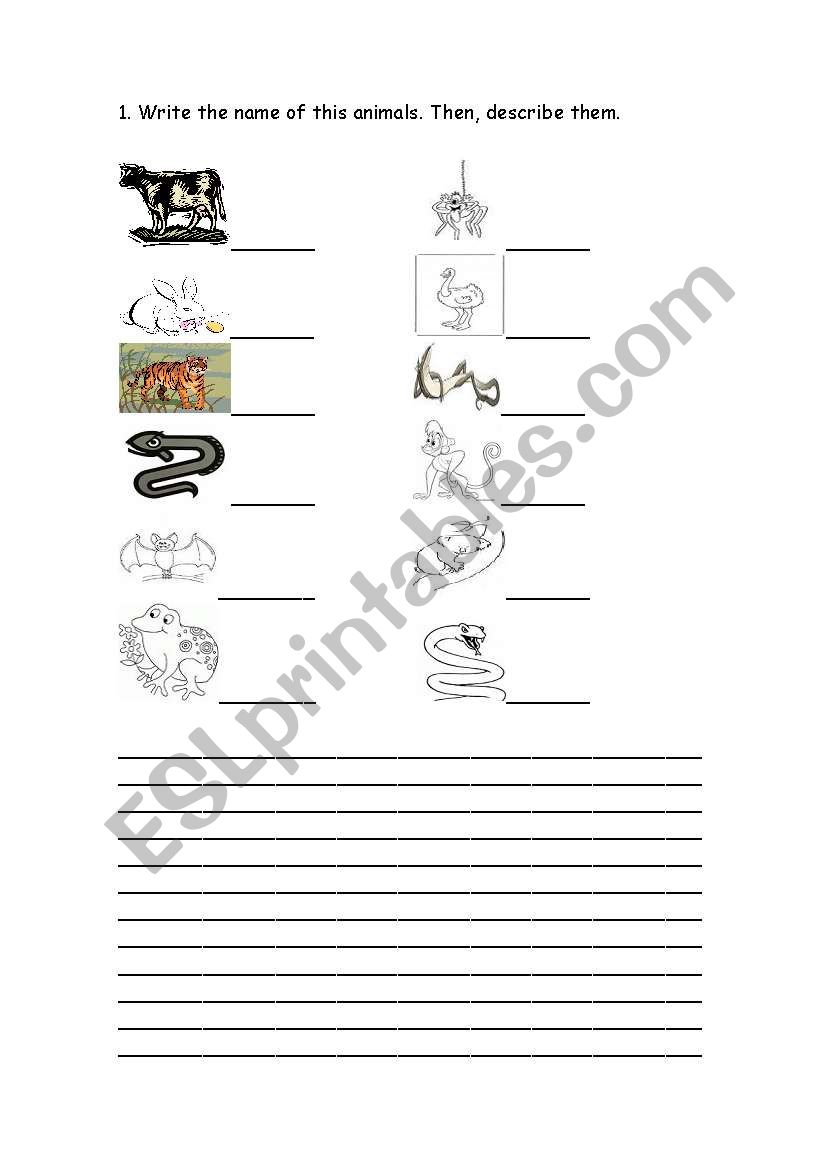 ANIMALS worksheet