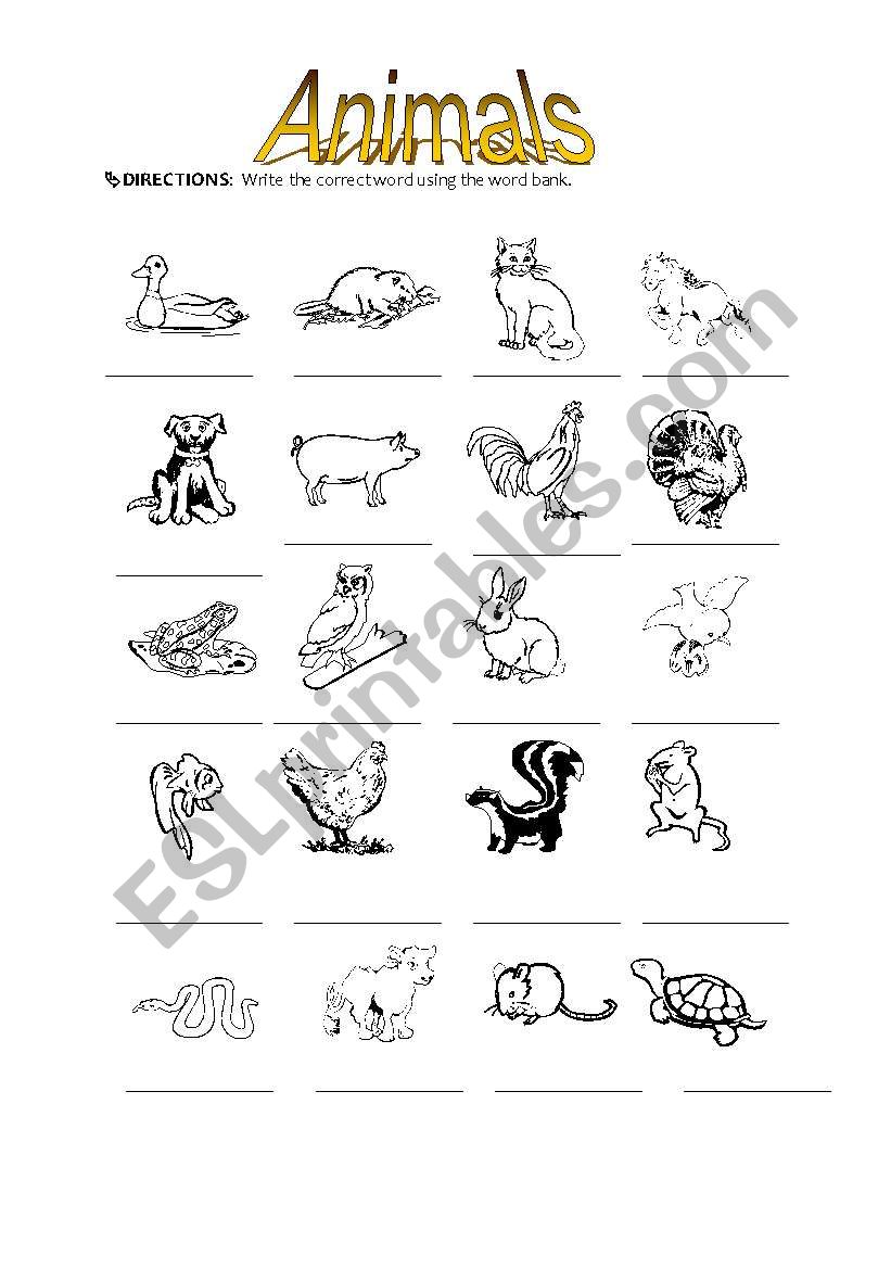 identify the animals - ESL worksheet by harveyj
