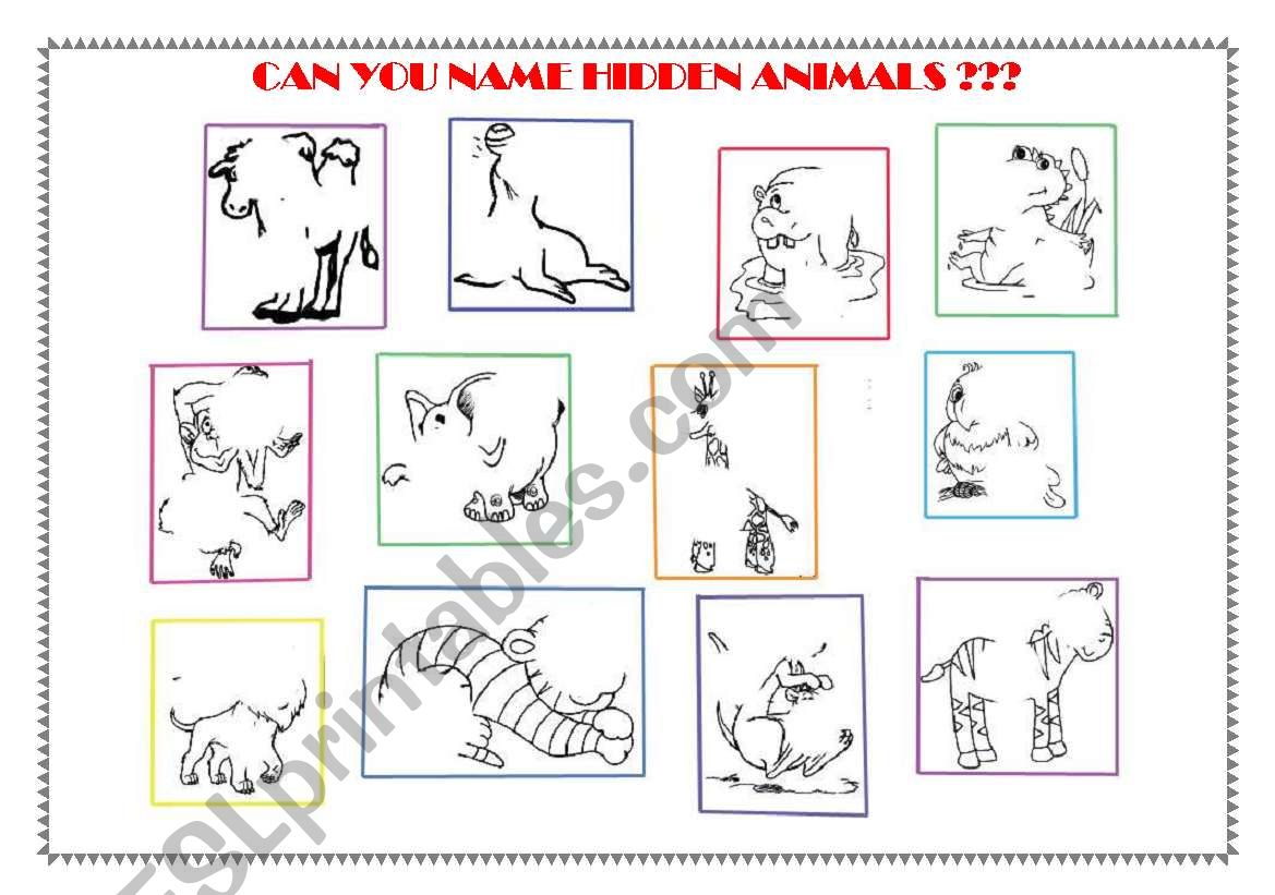 Animals - can you find and name them??