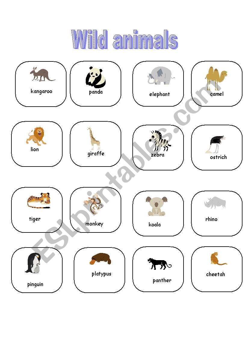 Wild animals worksheet