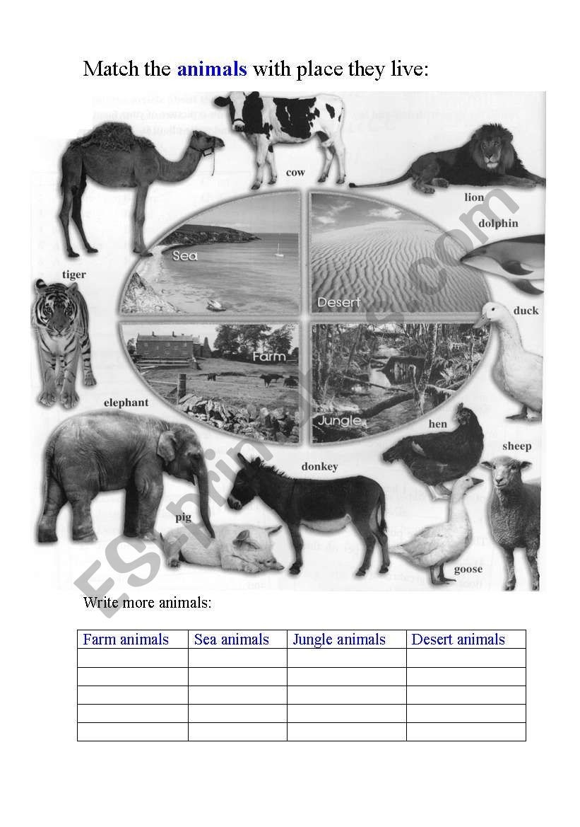 Animals and places they live worksheet