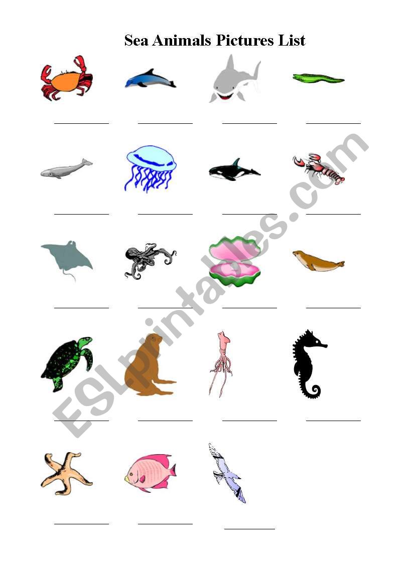 Sea  animals worksheet