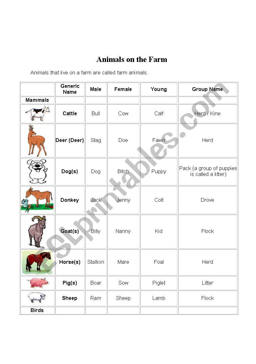 ANIMALS ON THE FARM worksheet