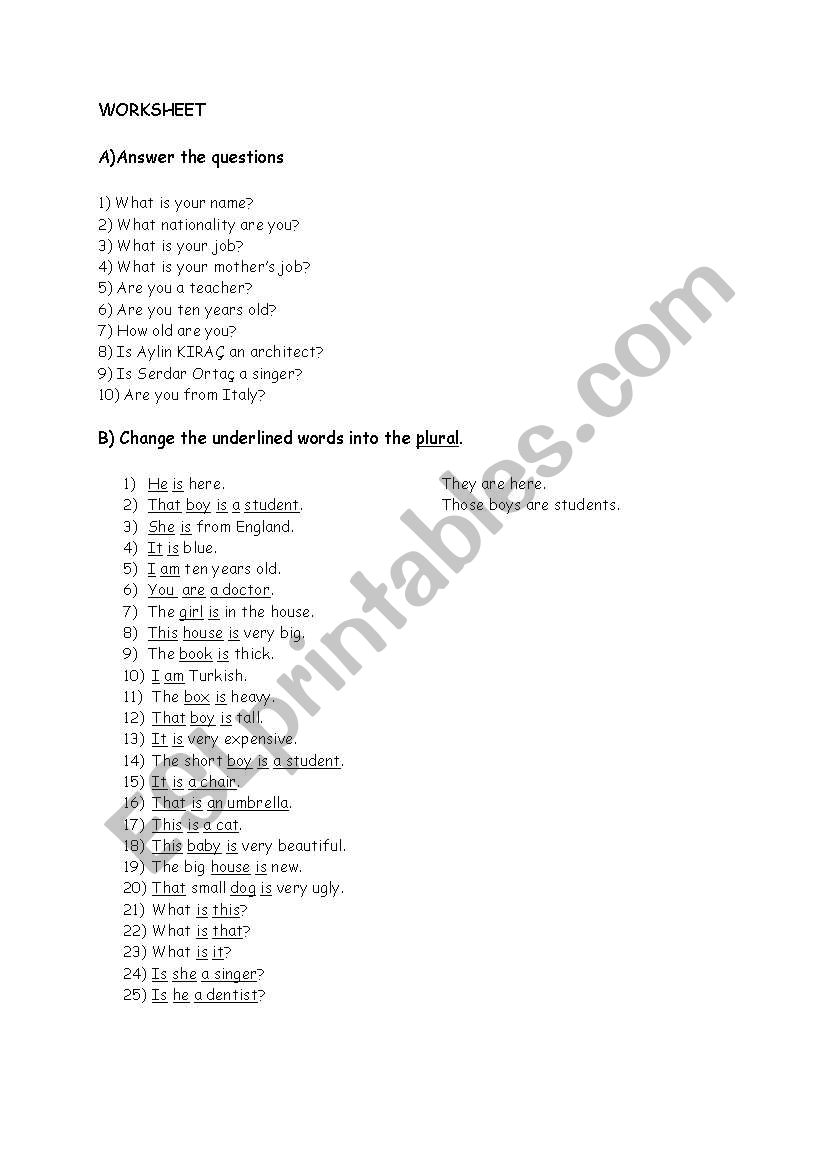 singulars-plurals worksheet