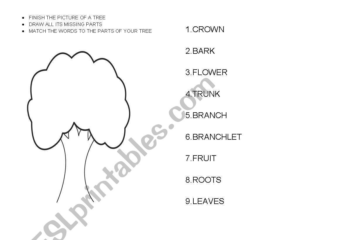 Parts of a tree - drawing and writing activity