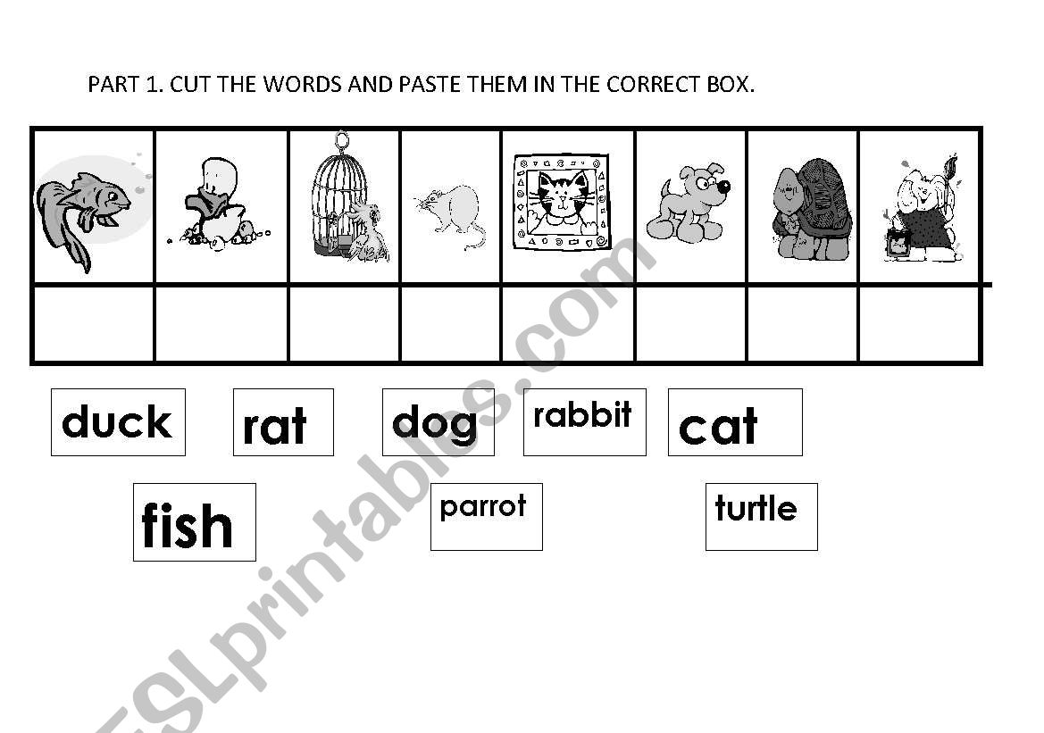 pets worksheet
