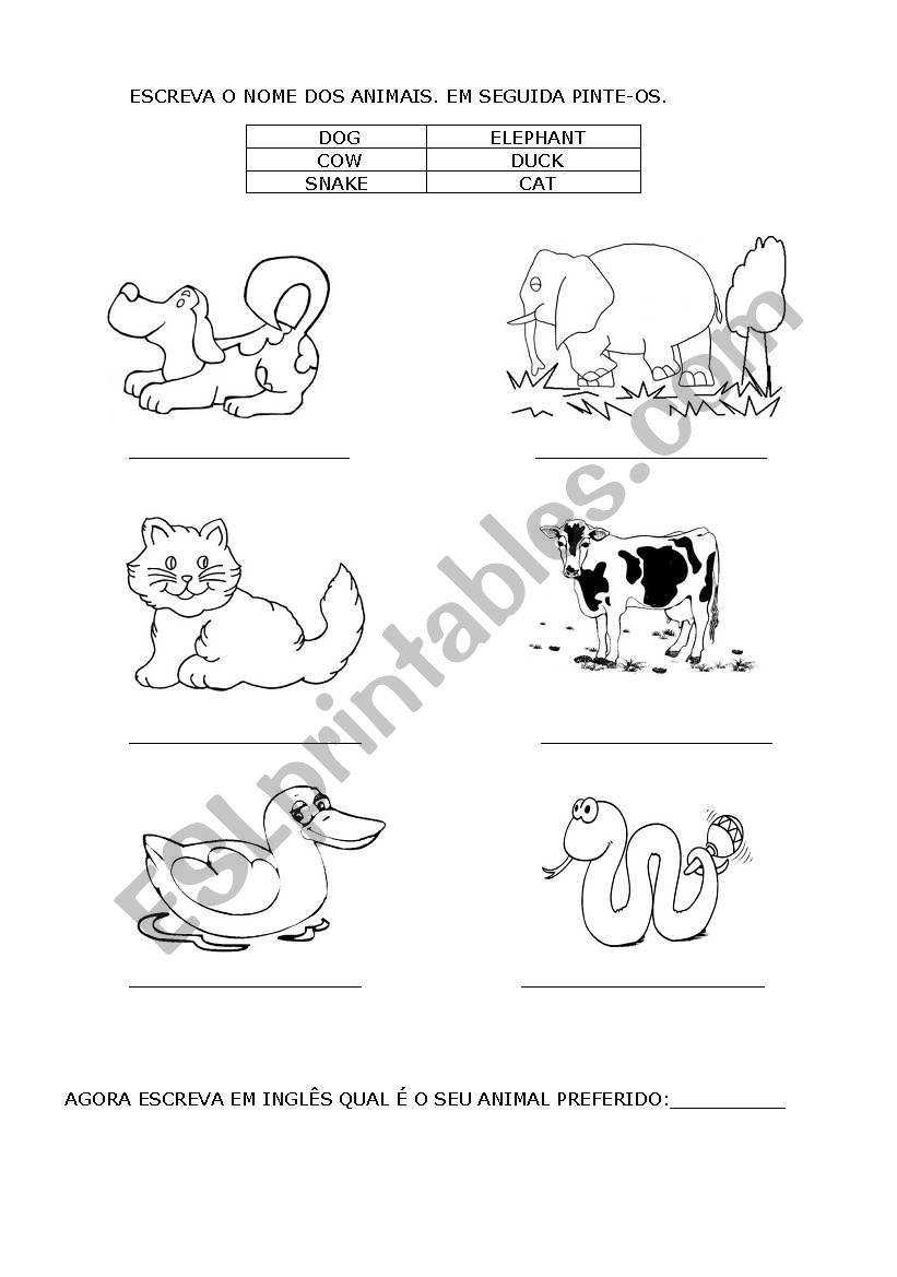 Animals worksheet