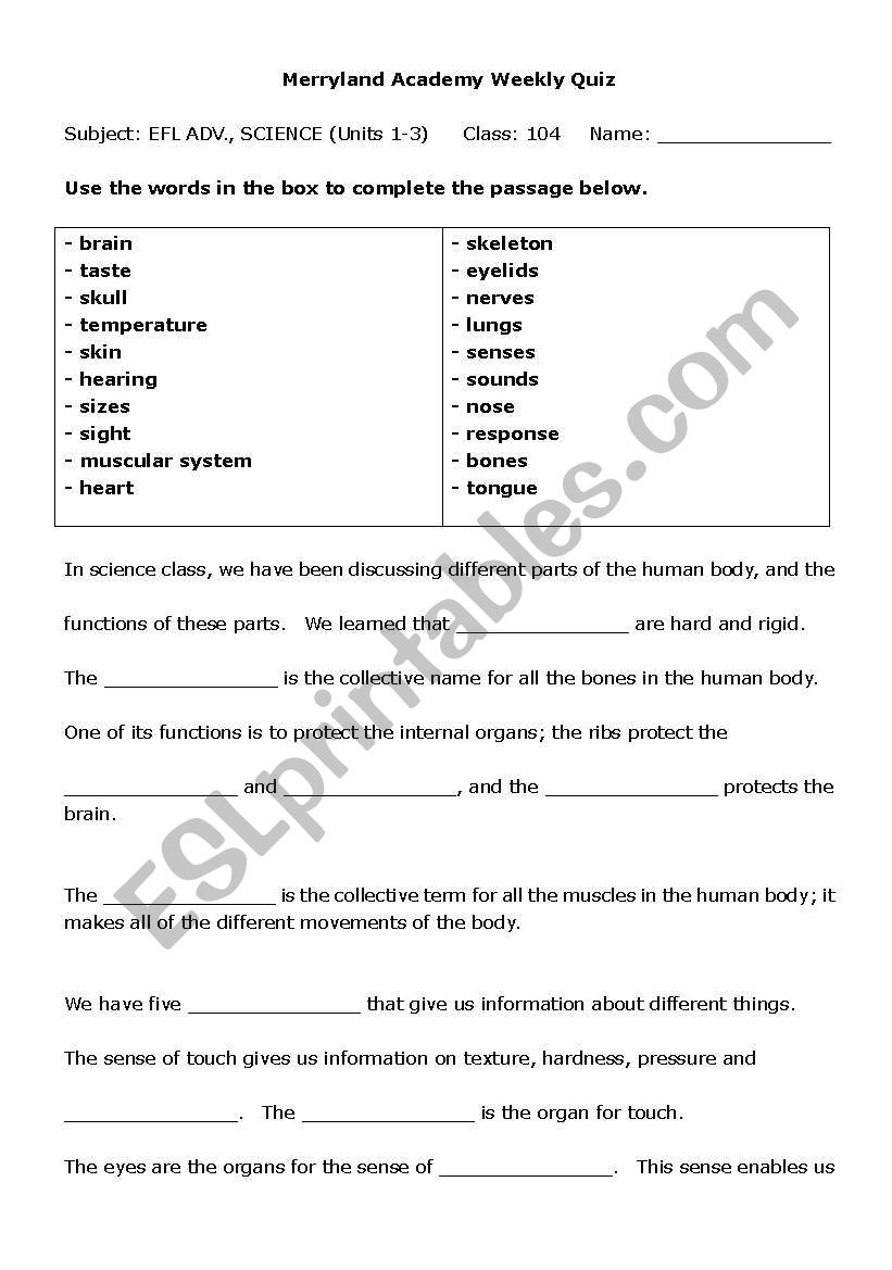 Parts of the body work-sheet/quiz