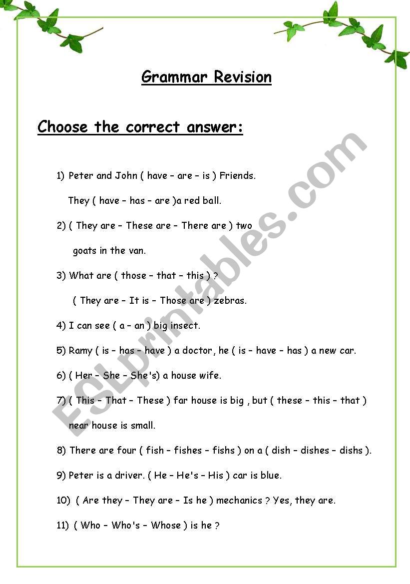 Grammar Revision worksheet