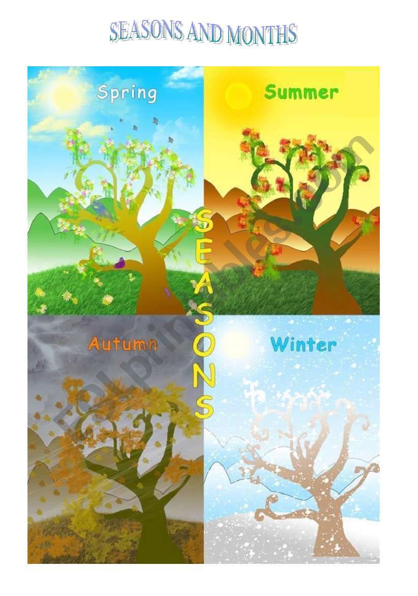 Seasons and Months worksheet