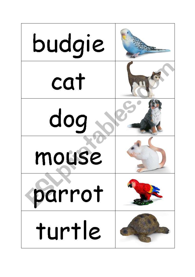 animals worksheet