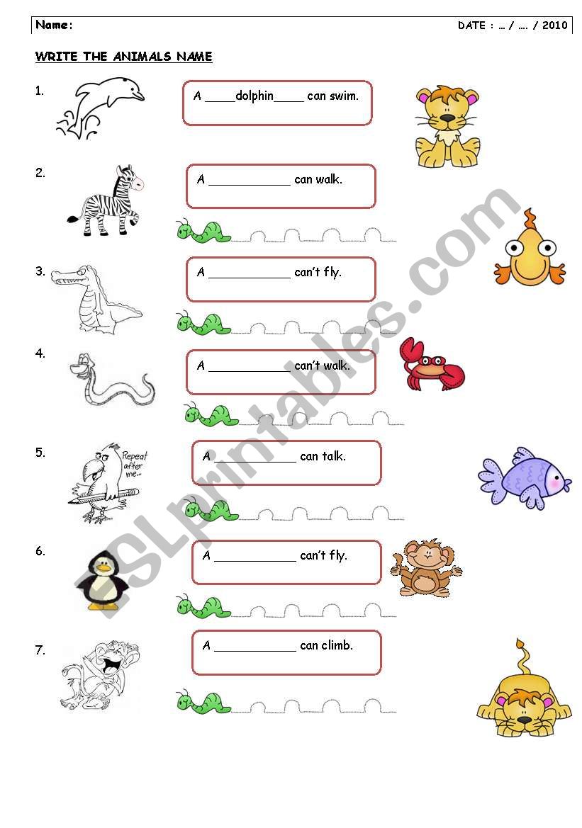 Animals worksheet