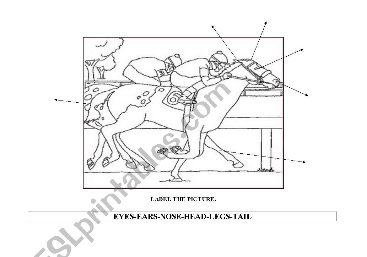 LABEL THE JOCKEY HORSE worksheet