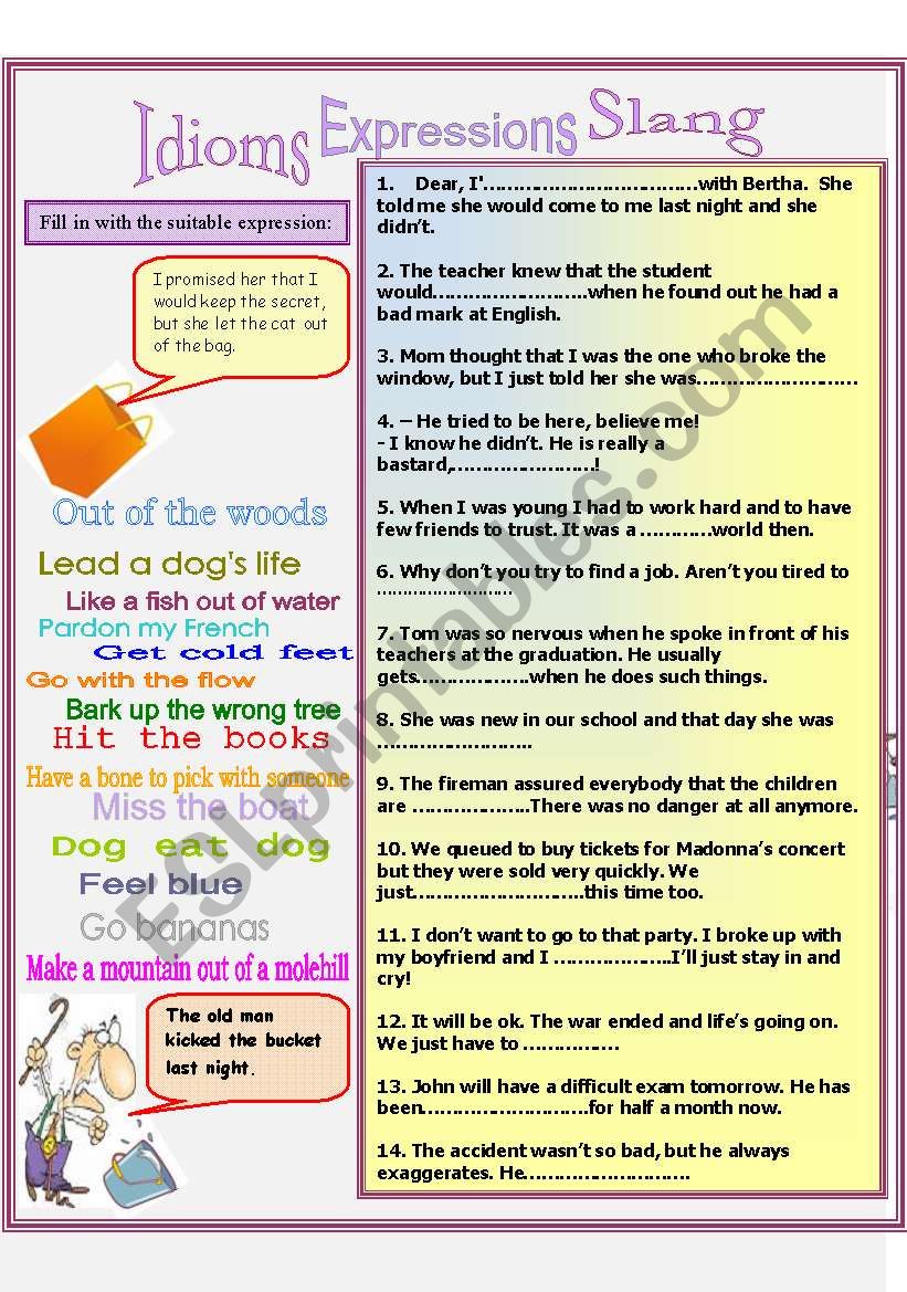 Idioms Expression Slang worksheet