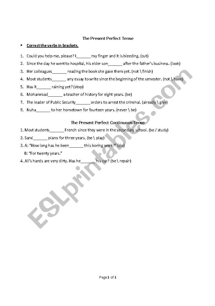 Present Perfect (Progressive) Exercises