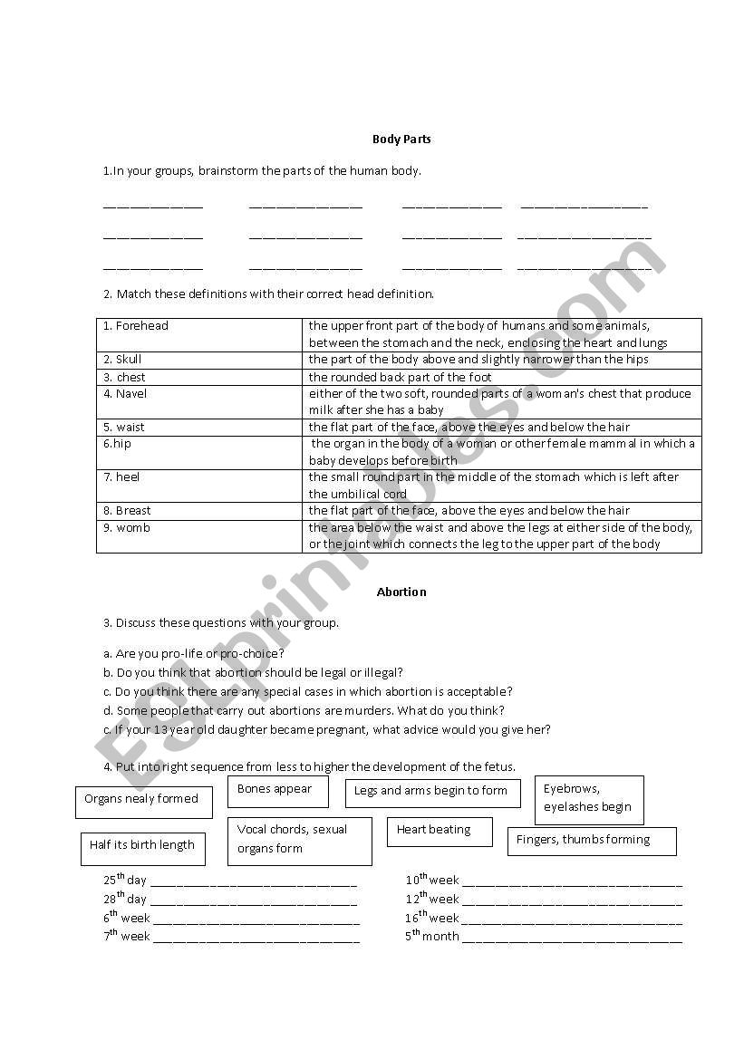 body parts and abortion worksheet
