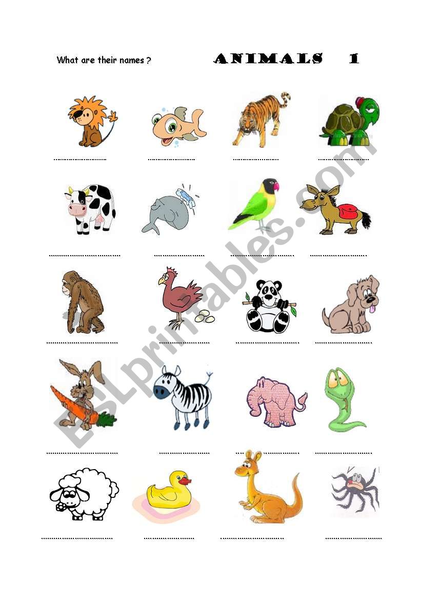 which animal is it? worksheet