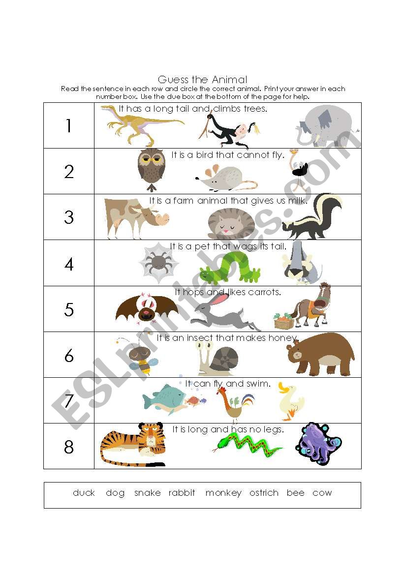 Guess the Animal worksheet